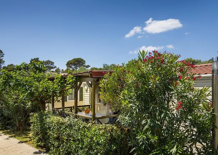 Valamar Padova 4*